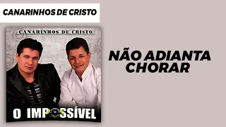 Canarinhos de Cristo - Não Adianta Chorar | Álbum O Impossível