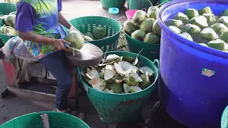 INTERESTING COCONUT JUICE PRODUCTION/COCONUT CUTTING-Thai Street Food