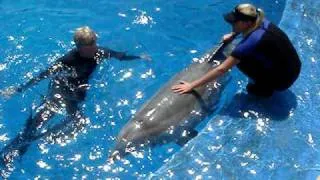 Riding a Dolphin