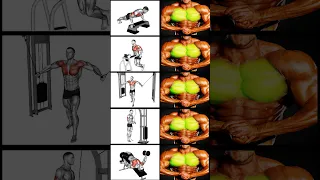 Top Lower Chest Exercises for Sculpted Muscles! #shorts