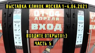 Выставка Клинок 42 в Москве 1-4 апреля 2021 год. Часть 5