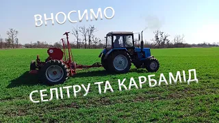 Друге підживлення сівалкою: селітра + карбамід