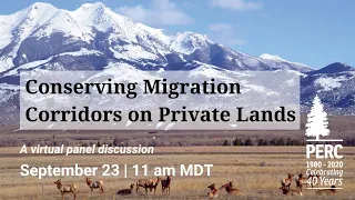 Webinar: Conserving Migration Corridors on Private Lands