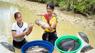 Harvesting A Lot Of Fish With My Younger Sister, Go To Sell at the Village | Em Tên Toan