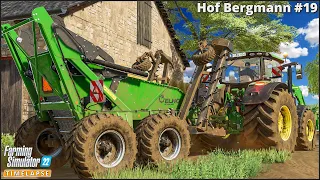 Selling Grape Juice & Cheese. Sowing Oat & Planting Sunflowers🔹#FarmingSimulator22🔹#HofBergmann Ep19