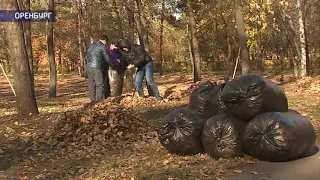 Оренбуржцы вышли на городской субботник