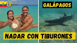 👉  You sure DID NOT KNOW THIS about Galapagos 😳 We are surprised at ISABELA #Ecuador Ep.13