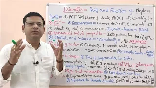 Diuretic (Part 02)= Parts and Functions of Nephron | Urine Formation Steps | Diuretics Pharmacology