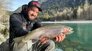 Auf Alpenrhein-Steelhead mit der Spinnrute