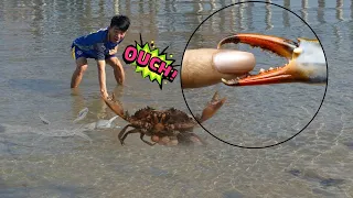 AMAZING Sea Crab Catching  | THE MOST AMAZING CRABBING at the beach