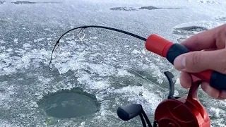 В ПРОЗРАЧНОЙ ЛУНКЕ...ХАПНУЛО! Кабан и первый лёд, ХИЩНИК ПОШЁЛ! Зимняя рыбалка 2023