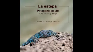 Patagonia Oculta - La Estepa