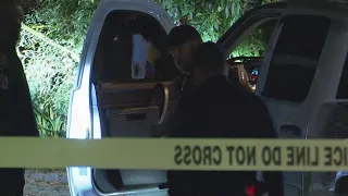 Woman followed home, shot in face in southeast Houston