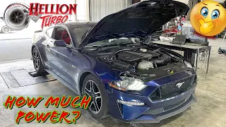 How much POWER does the Hellion Twin Turbo Mustang Make.. Unreal!!