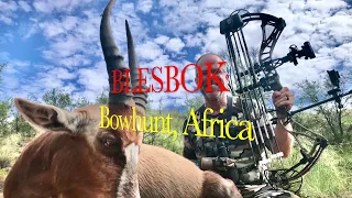 BLESBOK BOWHUNT, Africa (Sevr Broadhead)