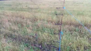 Ловля перепела(Бедана)Quail Catching (Bedana)