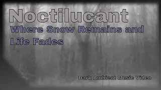 Dark Ambient Music Video for Noctilucant - Where Snow Remains and Life Fades (official music video)