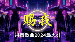 【 chinese dj 中文舞曲 】Chinese Song Remix 2024 | DJ抖音 TikTok (海底, 别知己, 一路生花, 广寒宫, 青丝, 精卫, 执迷不悟)