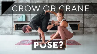 Is it Crow Pose or Crane Pose? | Breathe and Flow Yoga