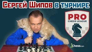 Сергей Шипов 🎤 в блиц турнире ⚡️ Pro Chess League ♕ Шахматы
