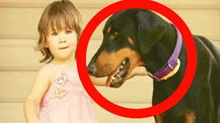 Dieser Hund warf ein Kind über den Hof, als die Mutter sah warum, konnte sie ihren Augen kaum trauen