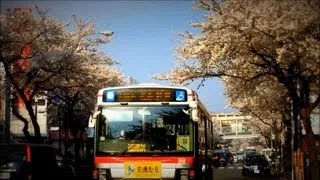 桜の季節×東急バス PV