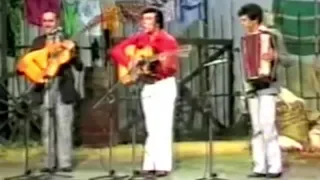 Tibagi & Miltinho - Canarinho Do Peito Amarelo (Gorrioncillo Pecho Amarillo) (Ao Vivo) | 1980