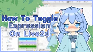 How To Toggle Expression On Live 2d【Tutorial】