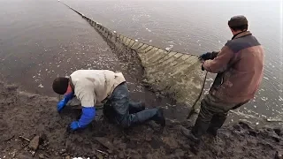 Проект "Аренда водоёма" 58 (ДР)mirror carp