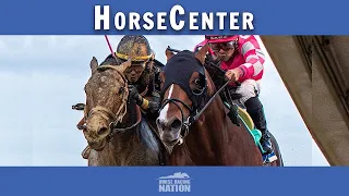 Fountain of Youth and Davona Dale top picks on HorseCenter