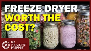 Full Disclosure! Is Freeze-Drying Worth the Cost and Hassle?