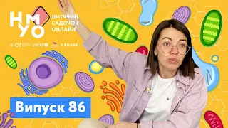 Дитячий онлайн-садок НУМО. Випуск 86