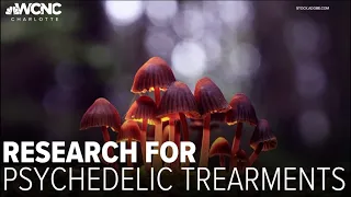 North Carolina could soon fund research for psychedelic treatments