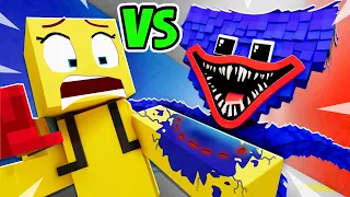 PRO PLAYER vs HUGGY WUGGY?! - Animation