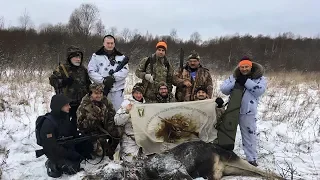 Загонная охота на лося | Декабрь 2018 | Русская глубинка