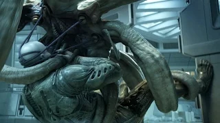 Prometheus - FaceHugger - Trilobite - Alien Mural Explained