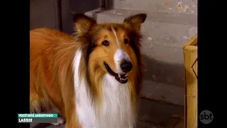 [HDTV] Lassie (1989 - 1992) - Um Dia de Cão (Episódio Completo)