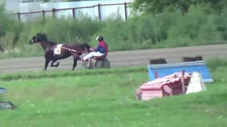 26 08 23 9 заезд Групповой, Новосибирский Ипподром