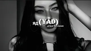 яд (yad) - erika lundmoen [english version] lyrics