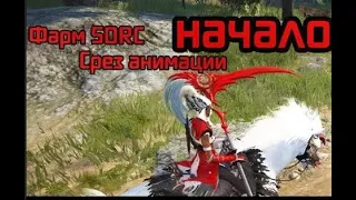 Black Desert | Гайд на Колдунью (SORC) 2024 НАЧАЛО