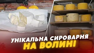 😉Крафтова СИРОВАРНЯ в селі на Волині: як хобі стало справою життя волинянки