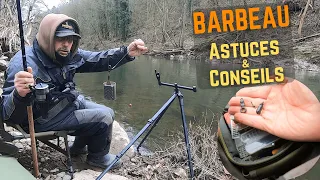 How To Attract BARBEL On Your Spot? Tips & Tricks!