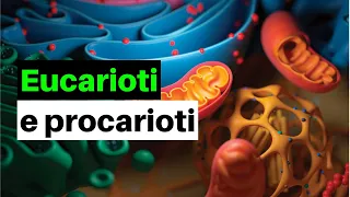 Cellula eucariote e procariote: somiglianze e differenze