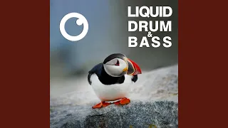Liquid Drum & Bass Sessions #50
