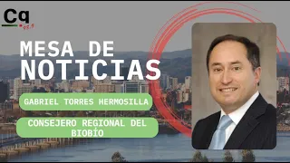 Gabriel Torres Hermosilla Consejero Regional del Biobío