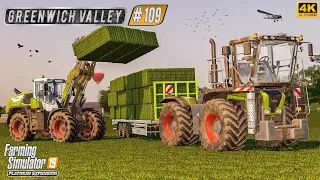 Baling and Hauling Grass ⭐ Greenwich Valley #109 ⭐ FS19 4K TimeLapse