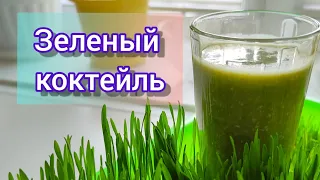 🌿Зеленый коктейль 🌿// микрозелень//ростки пшеницы 🌱//витаминная бомба💥//ЭКО напиток//смузи