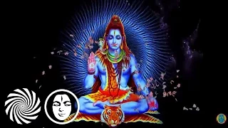 1200 Micrograms  - Shiva's India (Video)