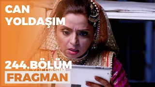 Can Yoldaşım 244. Bölüm Fragmanı - 31 Mart Perşembe