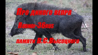 В.С.Высоцкий"Про дикого вепря"